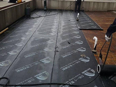 1586503492516553.jpg 74.JPG