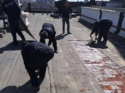 1586503586957457.jpg 77.jpg