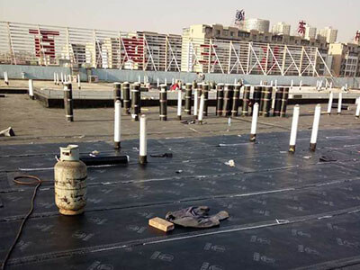 1608878186845918.jpg 1587535532529635.jpg