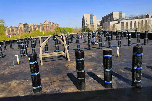 1646665026971786.jpg 128.jpg