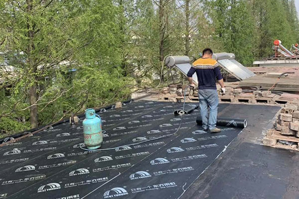 1646665074106404.jpg 161.jpg