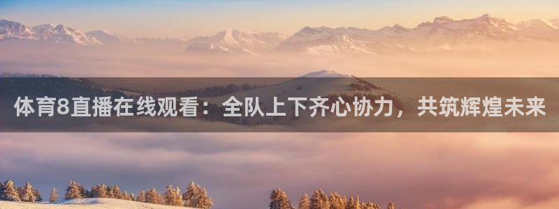 体育8直播在线观看：全队上下齐心协力，共筑辉煌未来